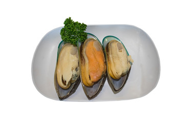 shellfish on the Isolated White Background ,
