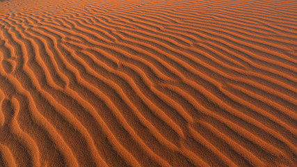Sand Dune ripples, Namibia