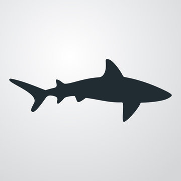 Icono plano tiburon en fondo degradado