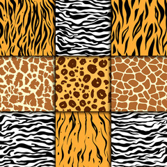 Seamless pattern with cheetah skin. vector background. Colorful zebra and tiger, leopard and giraffe exotic animal print.