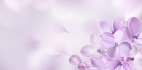 Pastel background with lilac flowers. - obrazy, fototapety, plakaty