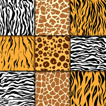 Seamless pattern with cheetah skin. vector background. Colorful zebra and tiger, leopard and giraffe exotic animal print.