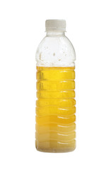 Chicken oil in bottle isolated on white background