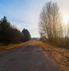 Old asphalt road in the countryside. Sunset sky and silhouettes of trees on the roadside. Autumn landscape.