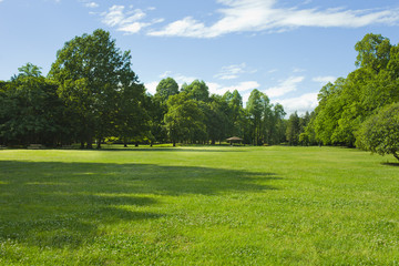 公園　芝生
