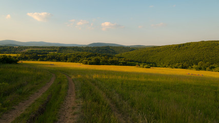 Beautiful sunny weather on the meadow in nature among the mountains