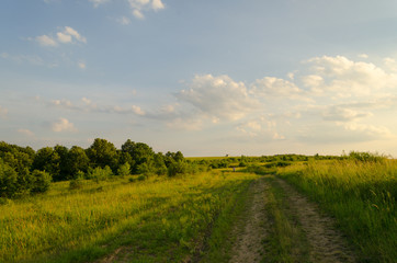 Beautiful sunny weather on the meadow in nature among the mountains