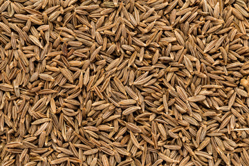 Texture of fennel seeds