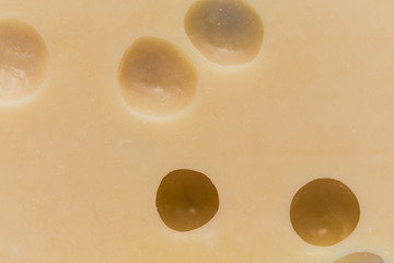 Texture of Emmental cheese with holes