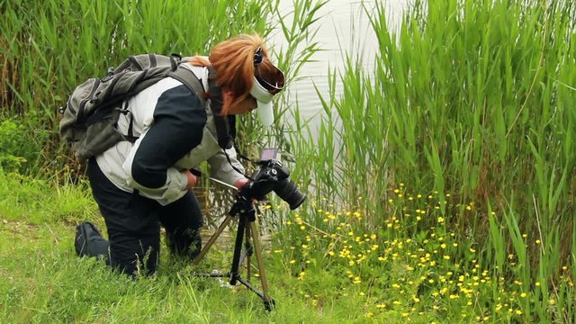 Woman taking pictures of buttercups near the lake
