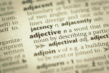 Dictionary definition of word
