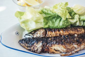 Grilled fish