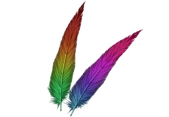 Rainbow Feathers