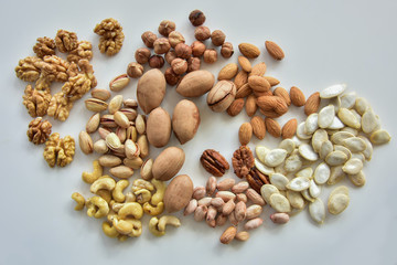 Variety of nuts/The variety of nuts used in gastronomy. From left to right and top to bottom: walnut, pistachios, cashews, hazelnuts, Indian pecans, peanuts, almonds, pumpkin seeds