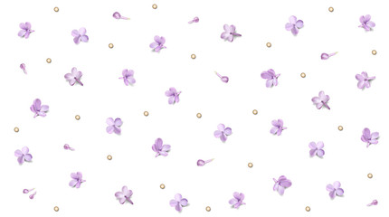Pastel background with lilac flowers.
