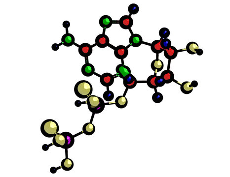 Molecular structure of adenosine diphosphate, 3D rendering