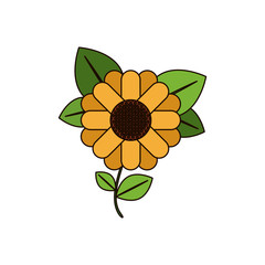 white background with abstract sunflower with stem and leaves in closeup with thick contour vector illustration