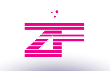zf z f pink purple line stripe alphabet letter logo vector template