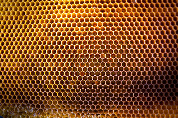 Background texture and pattern of a section of wax honeycomb