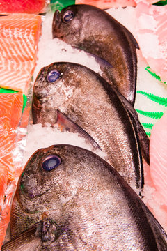 Fresh palometas