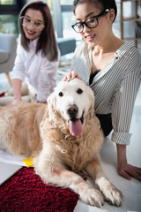 young multiethnic businesswomen petting furry dog at office