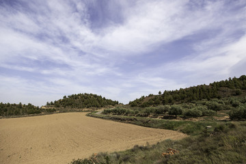 Agriculture plowed field