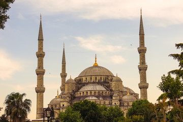 Naklejka premium Blue Mosque in Sultanahmet in Istanbul, Turkey
