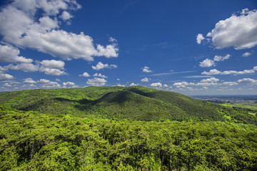 Fototapeta na wymiar hills covered with green forest and blue sky with white clouds