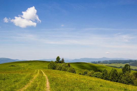 Green grass fields on hills with clody blue sky