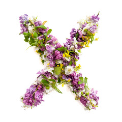 The letter «X» made of various natural small flowers..