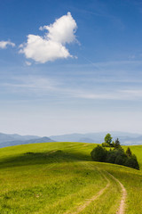 Fototapeta na wymiar Green grass fields on hills with clody blue sky