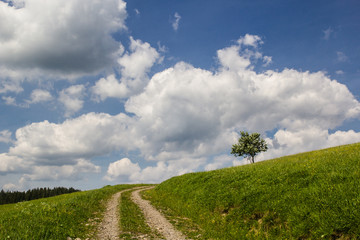 Green grass fields on hills with clody blue sky