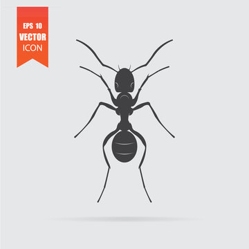 Ant icon in flat style isolated on grey background.