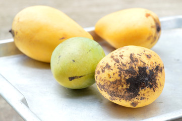 ripe mangoes in aluminum tray