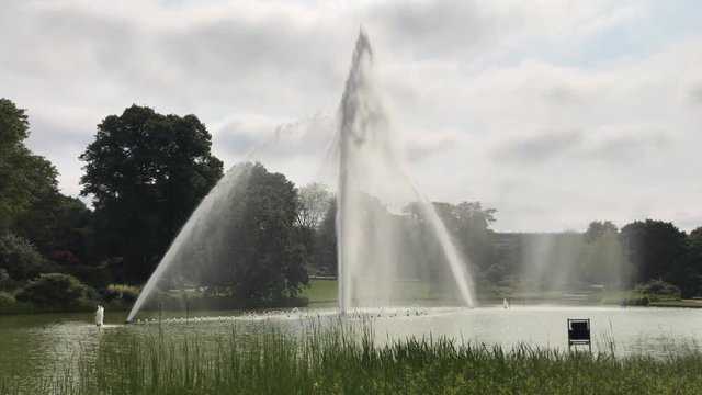 Wasserspiele Planten und Blomem in Hamburg