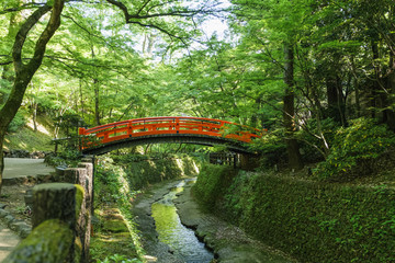 北野天満宮／Kitano Tenmangu Shrine