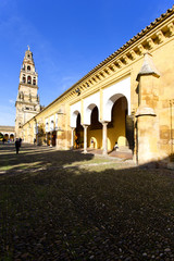 Obraz premium Torre del Alminar of the Mezquita in Cordoba
