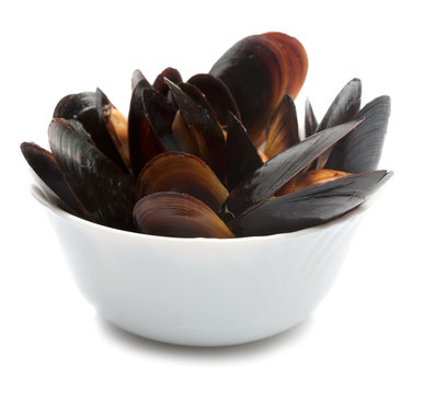Black mussels in bowl