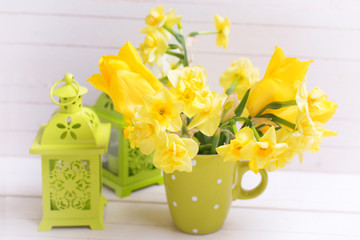 Bright daffodils flowers in cup