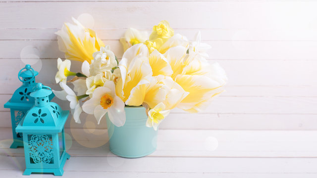 Bright yellow daffodils and tulips flowers and lanterns  on white wooden background.