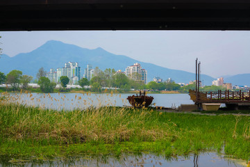 Fototapeta premium river 