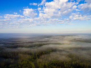 drone image. aerial view of morning mist over green forest