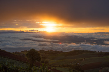 Beautiful sea of mist in morning time
