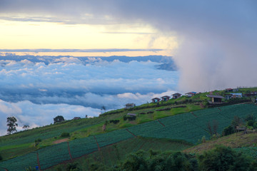 Beautiful sea of mist in morning time at Phu Thub Boek, Thailand
