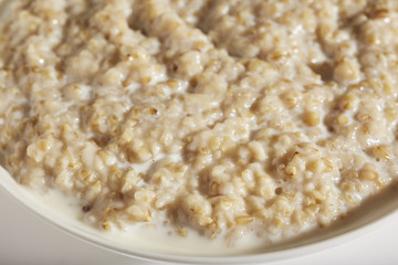 a bowl of cooked organic, pinhead, oatmeal