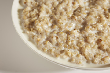 a bowl of cooked organic, pinhead, oatmeal