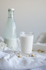 Making Raw Vegan Cashew Milk