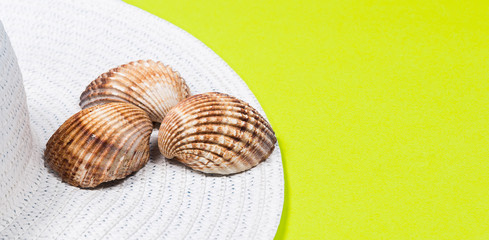 Female white hat, seashells, on a yellow background, beach vacation, sea, fashion, top view, copyspace