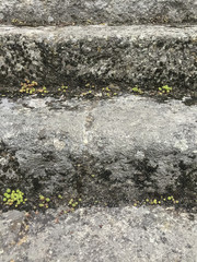 stone stairs