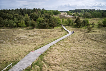 Fototapeta premium Dünenweg auf Zingst an der Ostsee